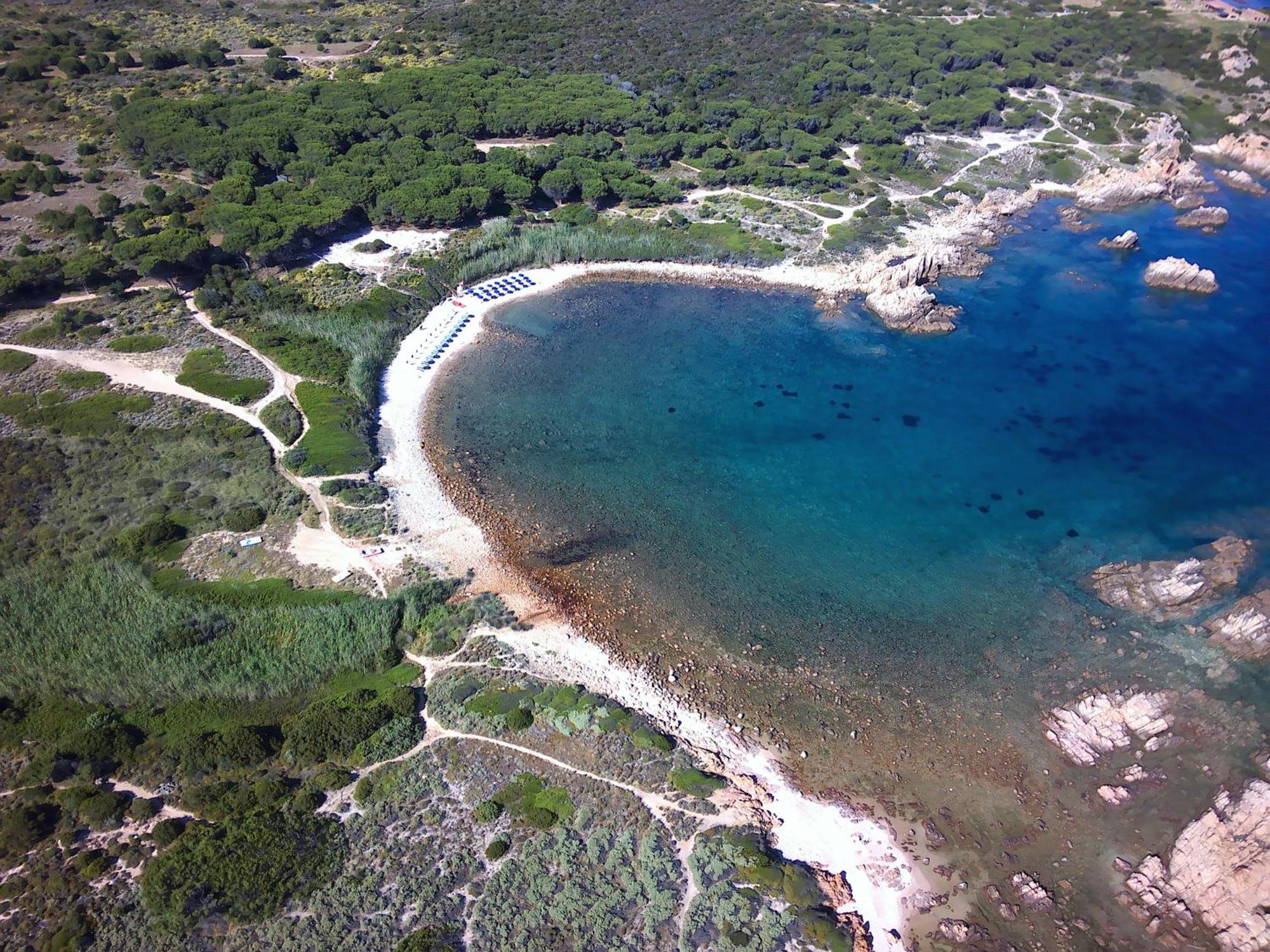 Gli Oleandri Di Calarossa - 5M Walk To The Beach Isola Rossa Buitenkant foto
